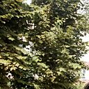 Знакомства: Артем, 34 года, Гомель