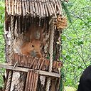 Знакомства: Евгений, 64 года, Калачинск