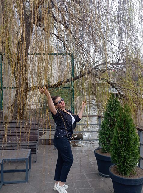 Фото - Tabor.ru