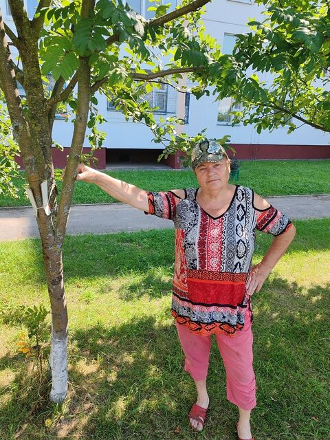 Фото - Tabor.ru
