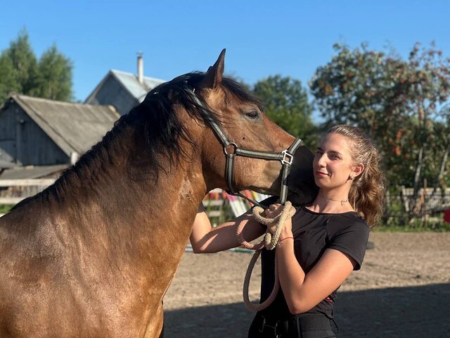 Фото - Tabor.ru