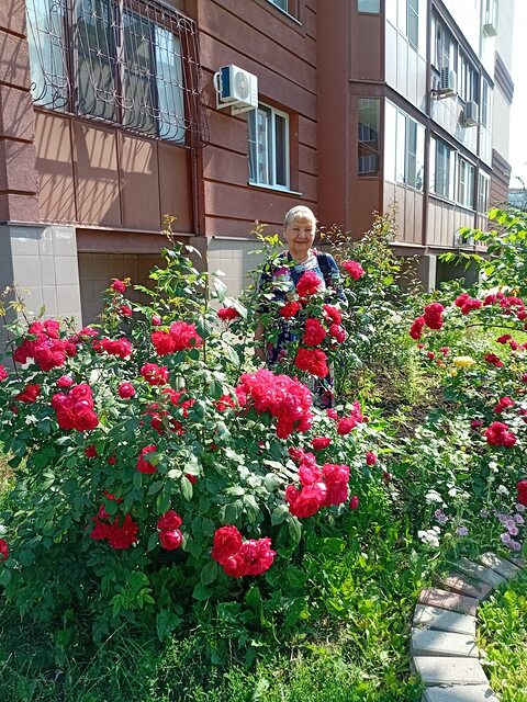 Фото - Tabor.ru