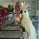 Знакомства: Светлана, 55 лет, Тюмень