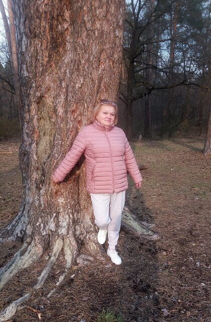 Фото - Tabor.ru