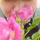 Знакомства: Стерва, 25 лет, Санкт-Петербург