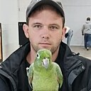 Знакомства: Серега, 33 года, Кузоватово