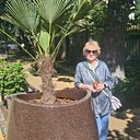 Знакомства: Ирина, 65 лет, Черняховск
