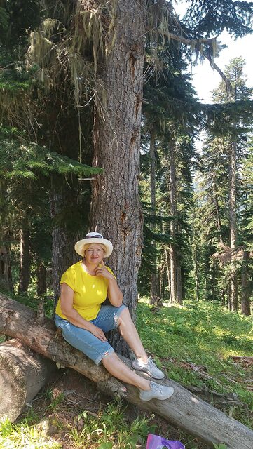 Фото - Tabor.ru