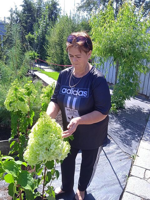 Фото - Tabor.ru