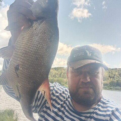 Фото - Tabor.ru