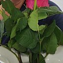 Знакомства: Любовь, 46 лет, Одесса
