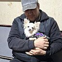 Знакомства: Сергей, 39 лет, Тойтепа