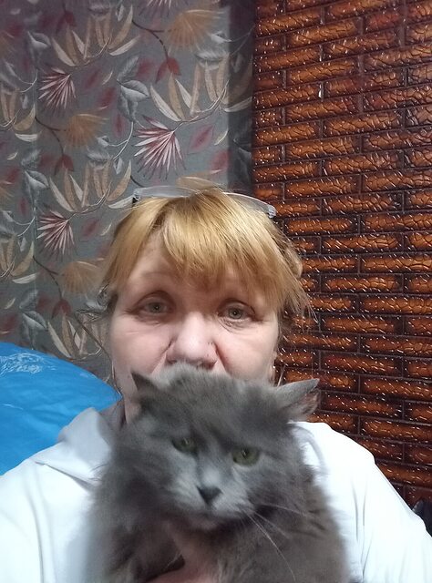 Фото - Tabor.ru