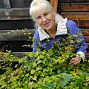 Знакомства: Валентина, 68 лет, Новосибирск