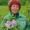 Знакомства: Наталья, 62 года, Юрьев-Польский